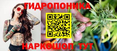 apvp Братск