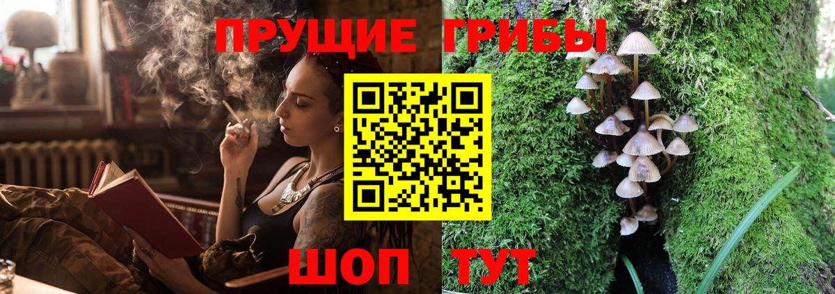 Ахтубинск  сколько стоит  Вход с VPN  Псилоцибиновые грибы MAGIC MUSHROOMS 